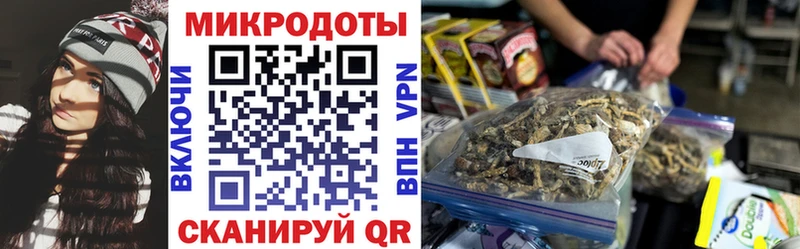 Псилоцибиновые грибы Psilocybe даркнет сайт Реж